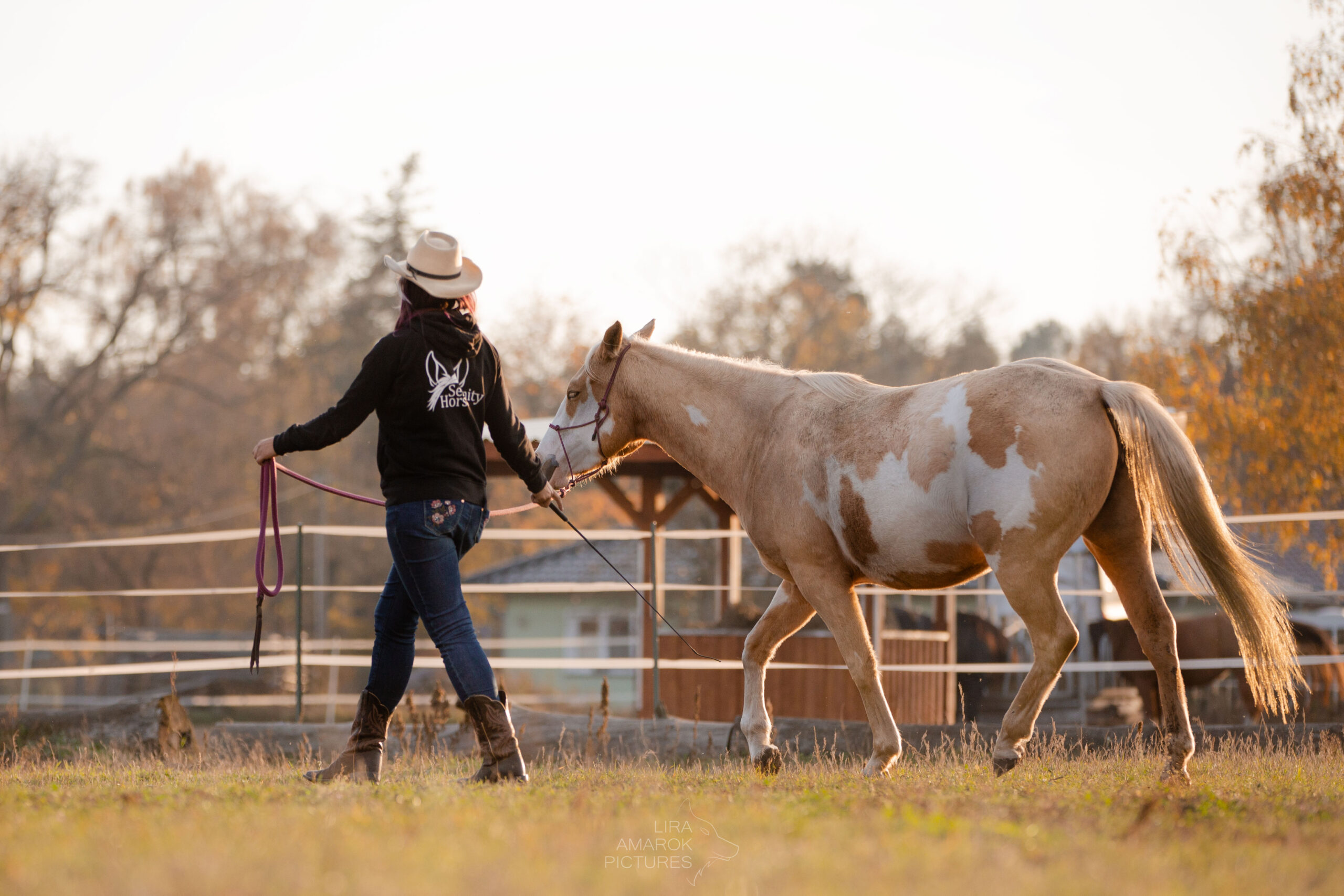 Stephanie Richter bei der Bodenarbeit mit Pferd, fotografiert von LiraAmarokPictures