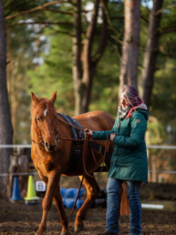 Stepahnie Richter mit braunem Pferd bei der Longearbeit, fotografiert von LiraAmarokPictures