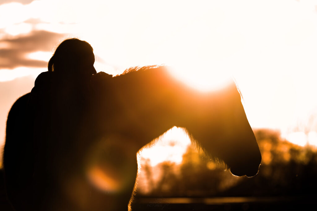 Silouette einer Person mit Pferd im Sonnenuntergang