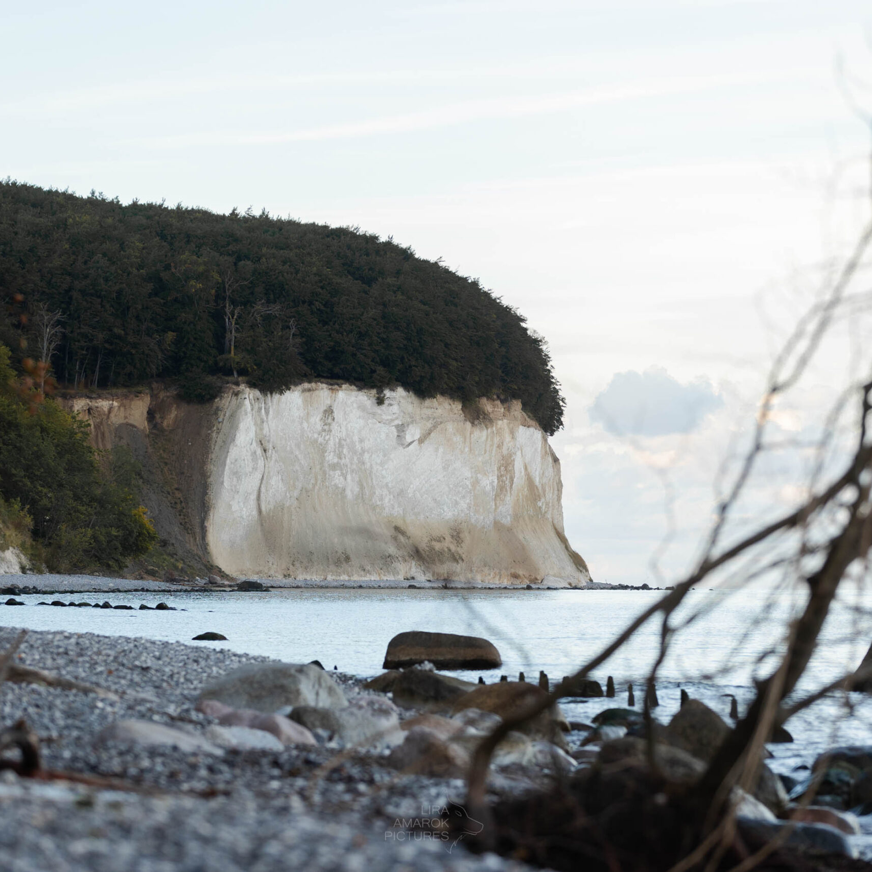 Bild eines Kreidefelsens von Jasmund am Meer