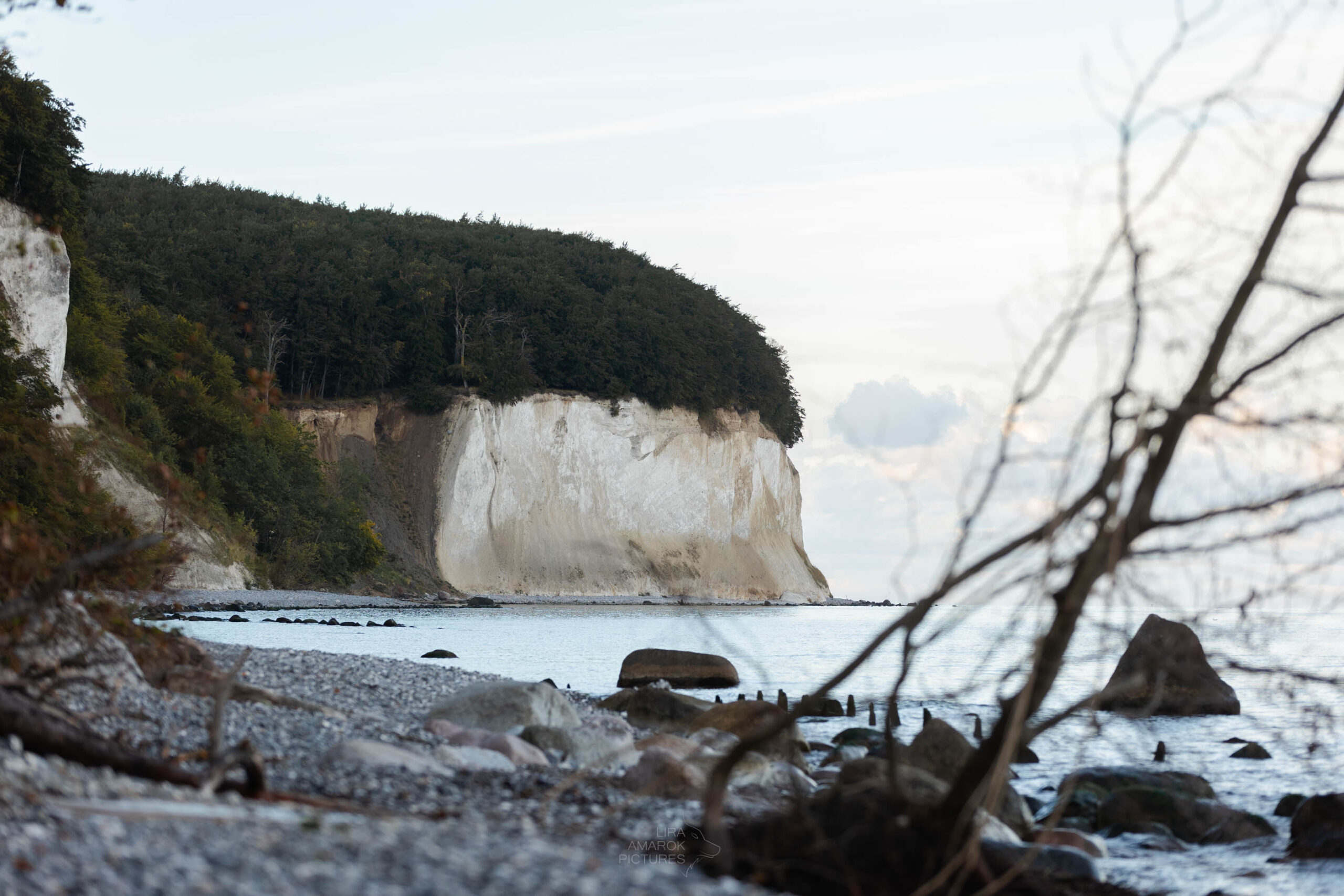 Bild eines Kreidefelsens von Jasmund am Meer