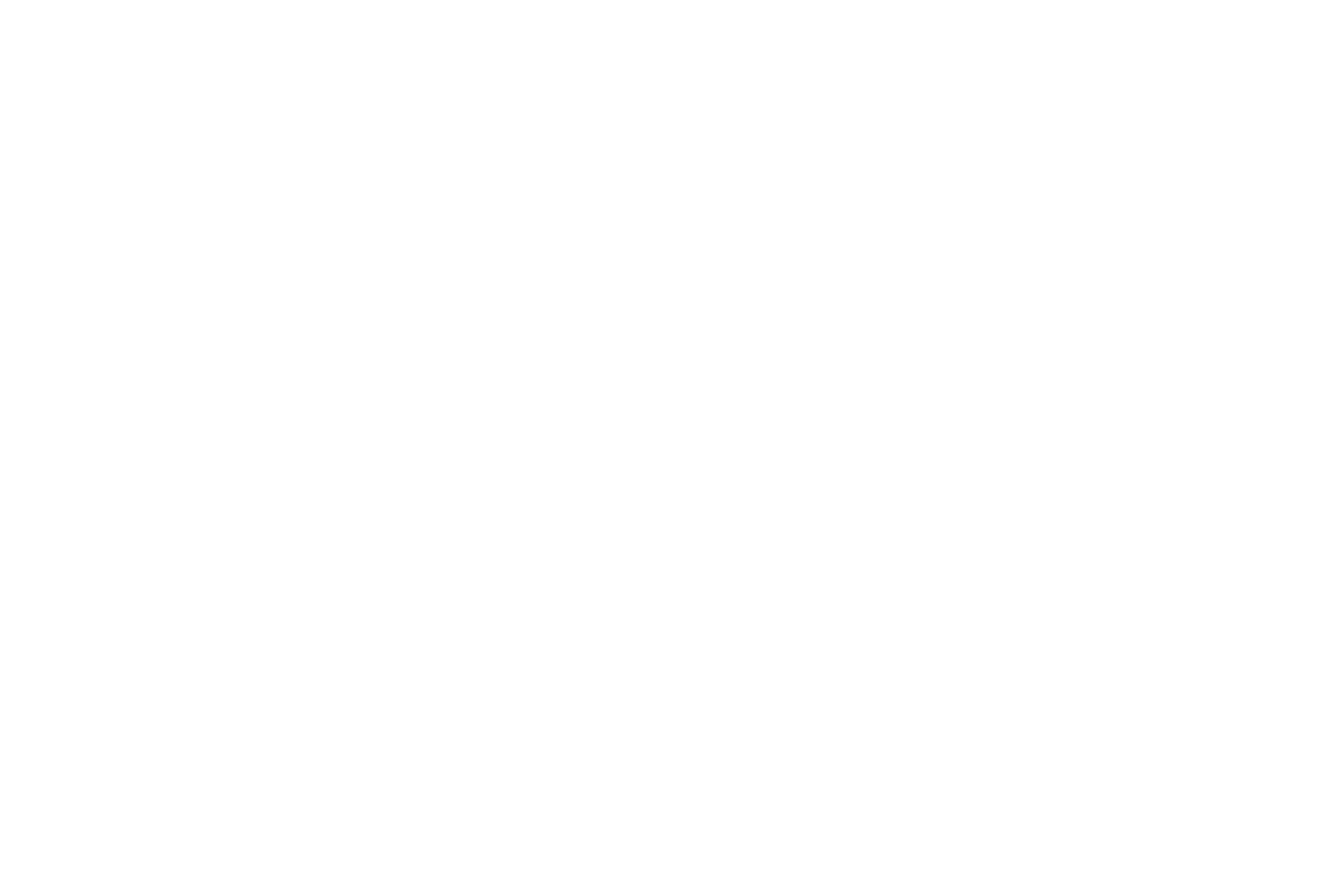 Logo LiraAmarokPictures in weiß