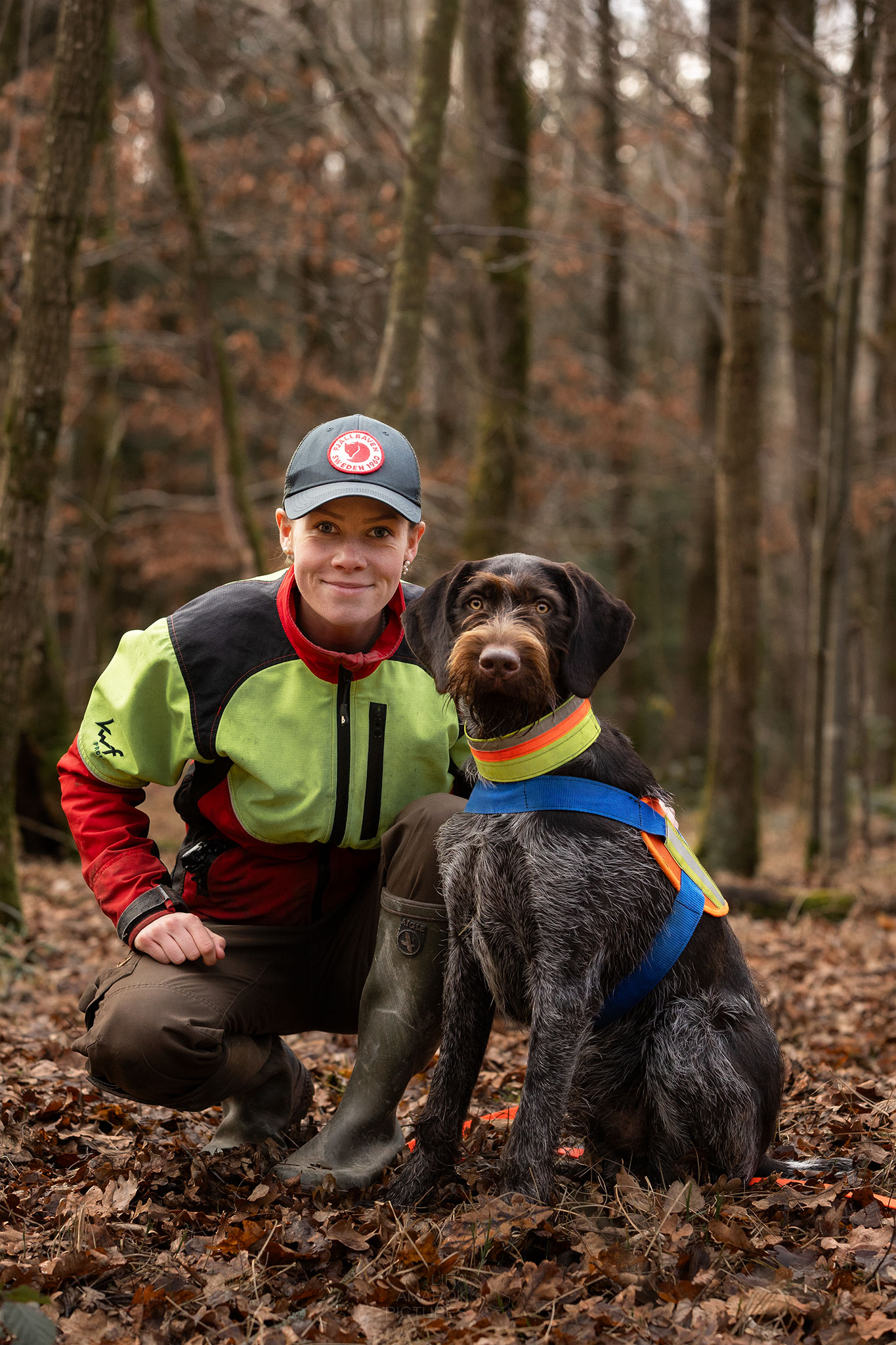 Ein Deutsch Drahthaar sitzt mit Signalhalsung und Nachsuchengeschirr neben seiner Besitzerin die neben ihm kniet.