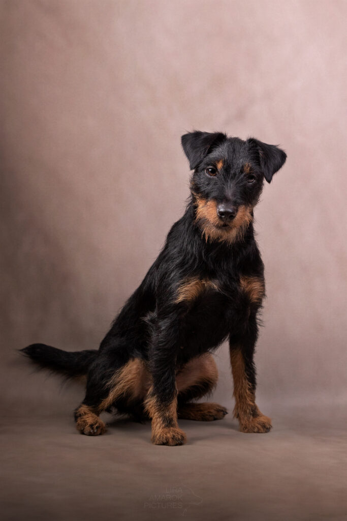 Ein DJT sitzt im Studio