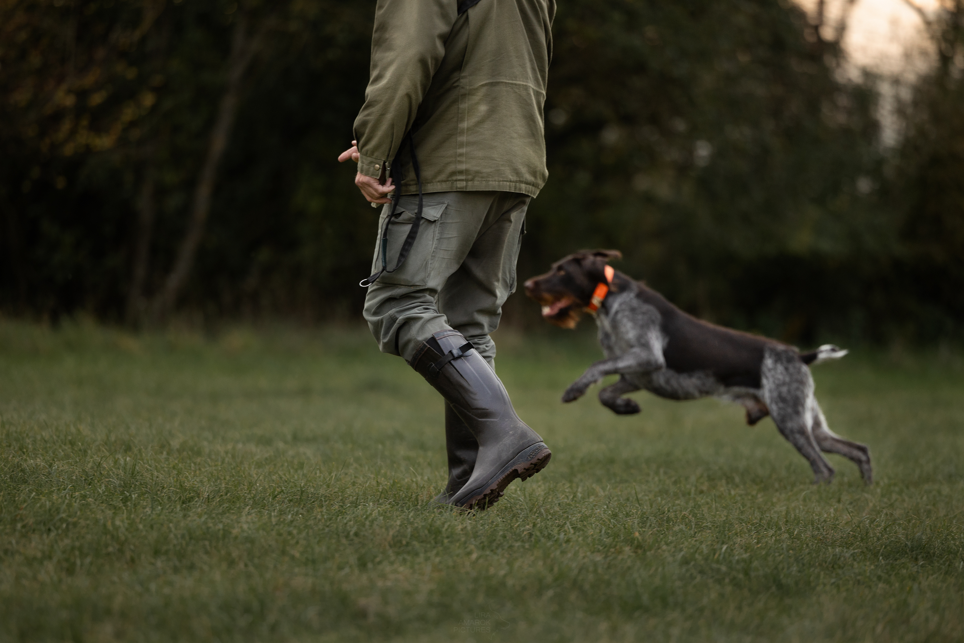 Ein Hundeführer mit seinem Hund bei der Quersuche